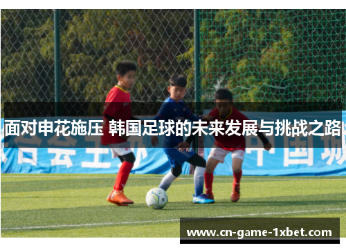 面对申花施压 韩国足球的未来发展与挑战之路