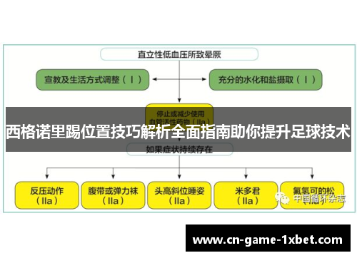 西格诺里踢位置技巧解析全面指南助你提升足球技术