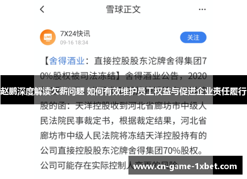 赵鹏深度解读欠薪问题 如何有效维护员工权益与促进企业责任履行